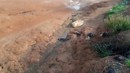 DEGRADATION DES RUES AU QUARTIER ALBARIKA DE PARAKOU : Les populations sur le « chemin de Golgotha »