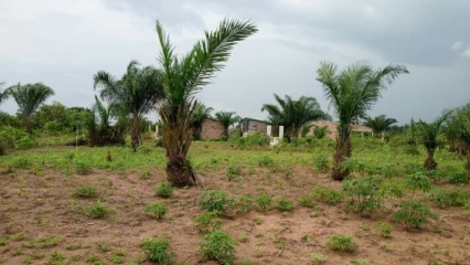DÉLIVRANCE DE L&rsquo;ATTESTATION DE RECASEMENT AU BÉNIN : Le gouvernement fixe de nouvelles conditions et procédure