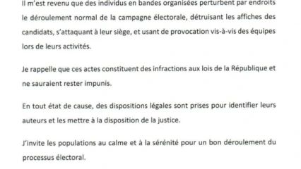 DESTRUCTION DES AFFICHES DES CANDIDATS ET ATTAQUE À LEUR SIÈGE : Le ministre Sacca Lafia met en garde les semeurs de troubles