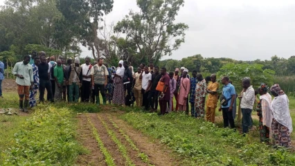 Développement des activités agro-pastorales à Parakou: le Projet Pacoso-Pev-Lct renforce les capacités des jeunes et femmes