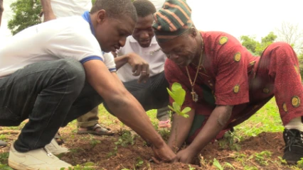 DJOUGOU/GRÂCE AU SOUTIEN DU PRO-CASHEW : La Fénapab a mis en terre plus de 200 plants performants d&rsquo;anacardiers à Monè