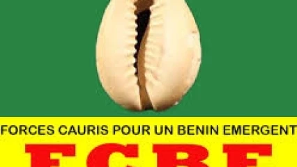 FCBE: L&rsquo;intégralité des 218 candidats cauris 