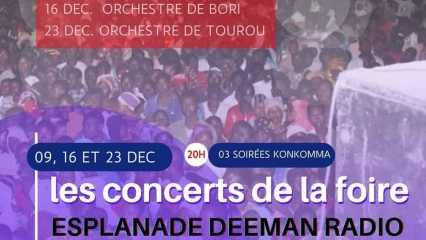 FOIRE INTERNATIONALE DE PARAKOU : Trois géants concerts pour tenir en haleine les forains