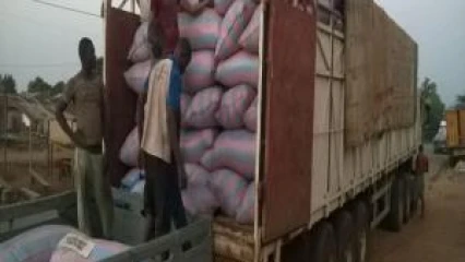 INTERDICTION D&rsquo;EXPORTATION DES NOIX BRUTES DE CAJOU ET DU SOJA AU BÉNIN : Le gouvernement suspend la décision