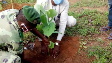 JOURNÉE DE L&rsquo;ARBRE A NIKKI : 2 500 plants mis en terre