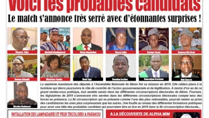 LEGISLATIVES DE 2019 DANS LA 8E CIRCONSCRIPTION ELECTORALE : Voici les probables candidats