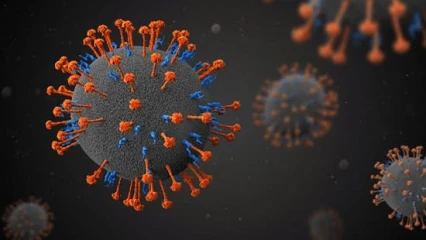 SANTÉ :  Un nouveau virus découvert en Chine
