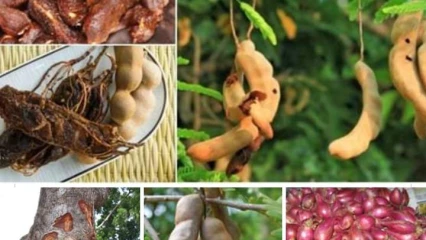 SANTE : Voici un remède naturel contre les maris et femmes de nuit