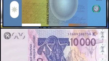 SOUVERAINETE MONETAIRE EN AFRIQUE : L’Eco et le Franc Cfa, même père même mère !