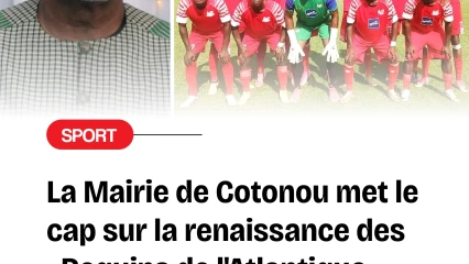 Sport/Conseil municipal de Cotonou: vers la renaissance des « Requins de l'Atlantique »