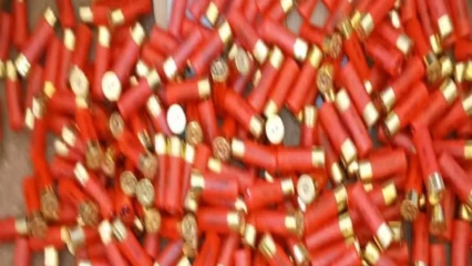 Tchaourou/Pour trafic de munitions :Deux individus arrêtés à Bétérou