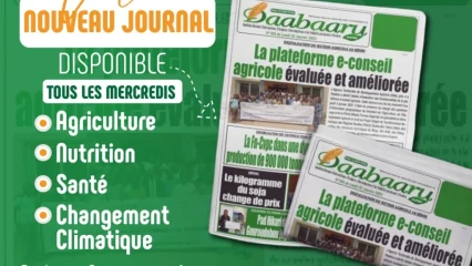 UNIVERS MÉDIATIQUE DU BÉNIN :  Le journal Daabaaru Agri voit le jour demain