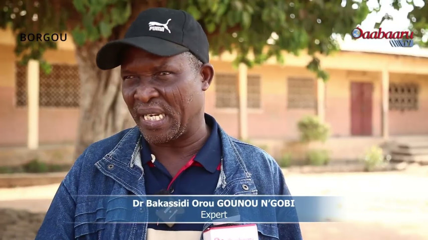 ÉLEVAGE AMÉLIORÉ DE LA VOLAILLE LOCALE: La ferme Pintabel outille les éleveurs à Parakou.