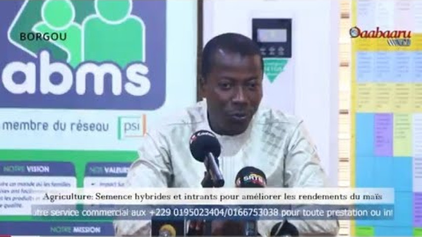 AGRICULTURE: Semence hybrides et intrants pour améliorer les rendements du maïs.