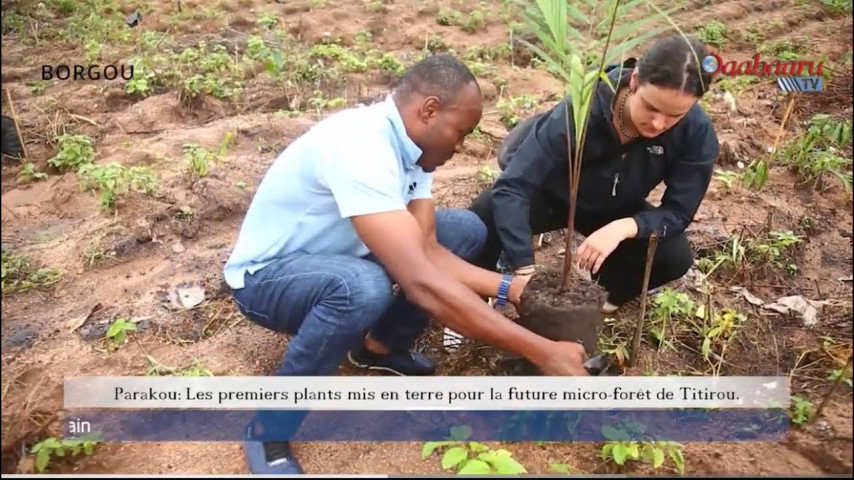 Parakou: Les premiers plants mis en terre pour la future micro-forêt de Titirou.