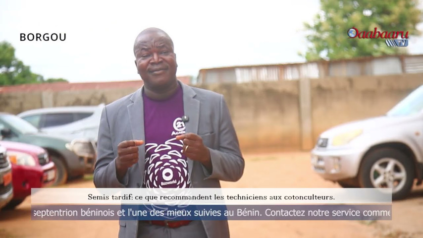 (BAATONUM) SEMIS TARDIF : Ce que recommandent les techniciens aux cotonculteurs
