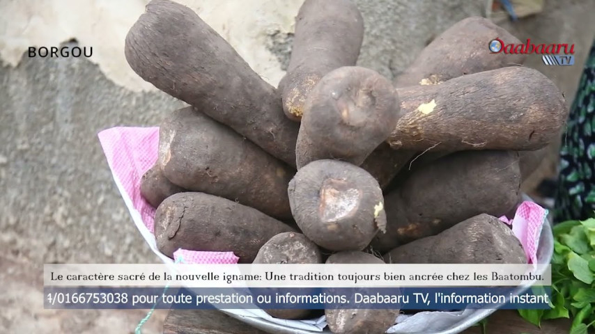 LE CARACTÈRE SACRÉ DE LA NOUVELLE IGNAME : Une tradition toujours bien ancrée chez les Baatombu
