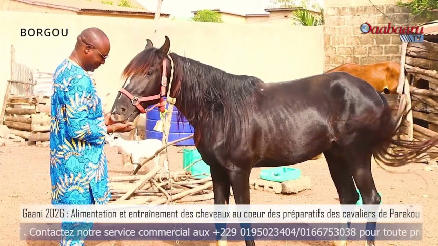 GAANI 2026:Alimentation et entraînement des chevaux au cœur des préparatifs des cavaliers de Parakou