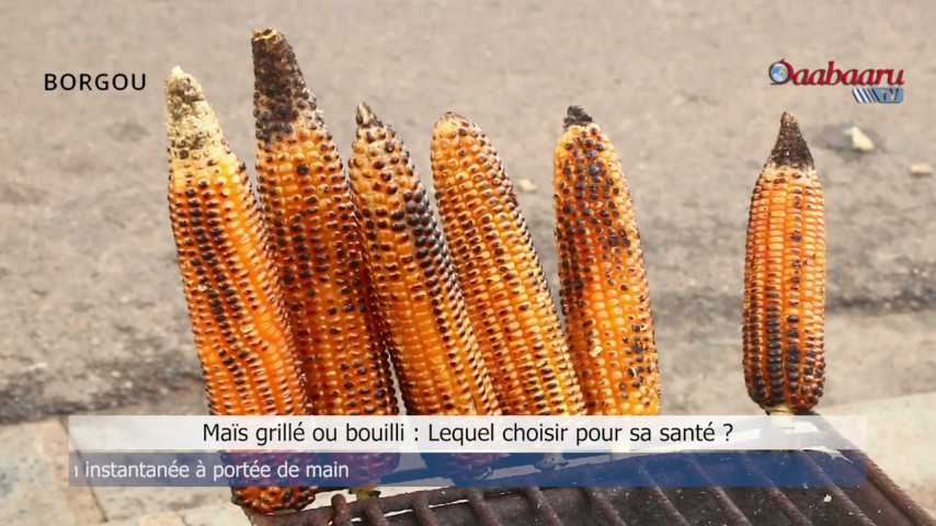 MAÏS GRILLÉ OU BOULLI: Lequel choisir pour sa santé ?