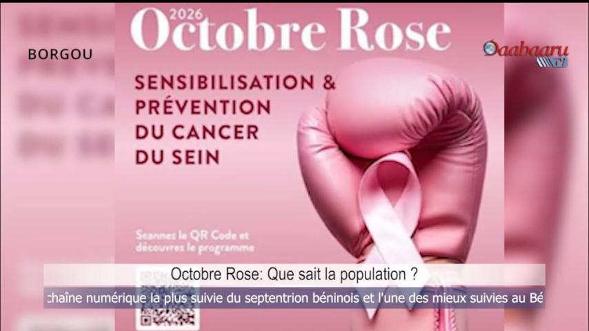 OCTOBRE ROSE : Que sait la population ?