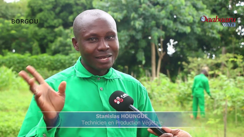 CAROTTE EN SAISON PLUVIEUSE : Stanislas Houngué partage ses astuces pour réussir la production