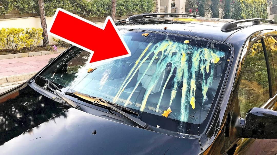 Attention à cette fausse rumeur sur une technique criminelle consistant à  jeter des œufs sur le pare-brise des automobilistes